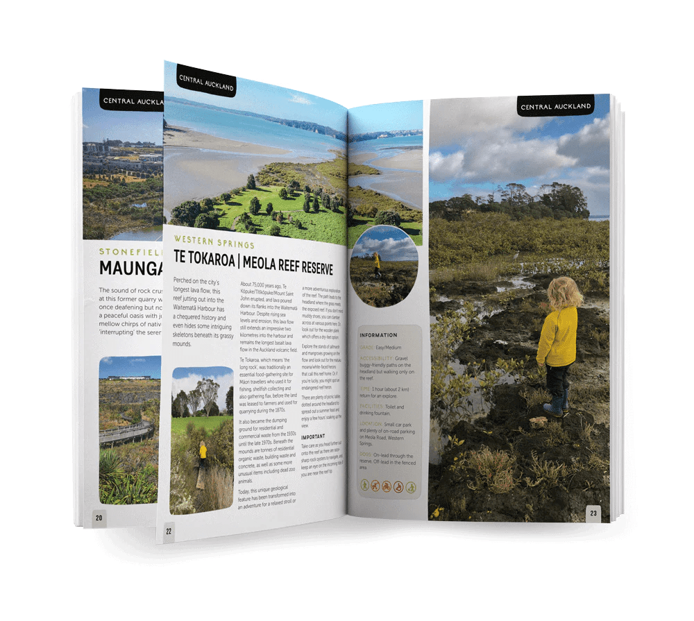 Auckland Guidebook