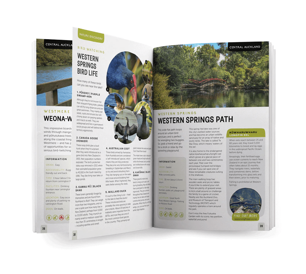 Auckland Guidebook